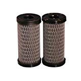 CFS COMPLETE FILTRATION SERVICES EST.2006 Compatible with Pentek CBC-5 Carbon Block Filter Cartridges 2 Pack Qty 2