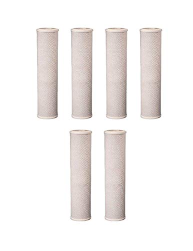 FlowPur/Watts WCBCS-975RV RV Trailer Camper Exterior Canister Single Compatible Filters (6)