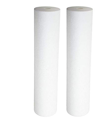 Sediment Filter - Dual Gradient Density 25/1 Micron 20" x 4.5" 2 Pack by CFS