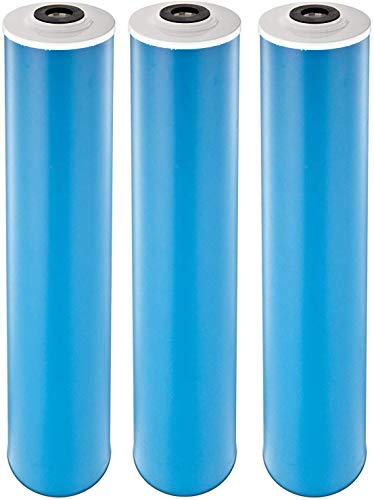 Pentek GAC-20BB Carbon Filter Cartridge, 20" x 4-1/2" (Pack of 3)