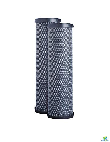 CFS COMPLETE FILTRATION SERVICES EST.2006 Taste and Odor Filter Cartridge for Under Sink Or Countertop Applications, Model Number 42-34370 2 Pack