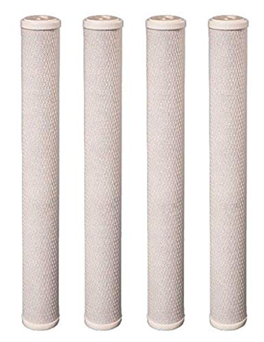 CFS – 4 Pack Carbon Block Water Filters Cartridge Compatible with CB-25-2010 Models – Remove Bad Taste & Odor – Whole House Replacement Water Filter Cartridge, 5 micron - 20" x 2.5", White