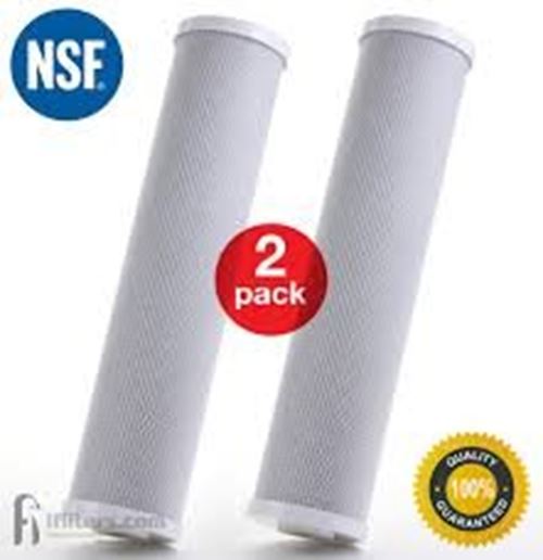 CFS – 2 Pack Activated Carbon Sediment Water Filters Cartridge Compatible with Premium Countertop Ecosoft - Replacement Cartridge 2.5" x 10", 5-Micron